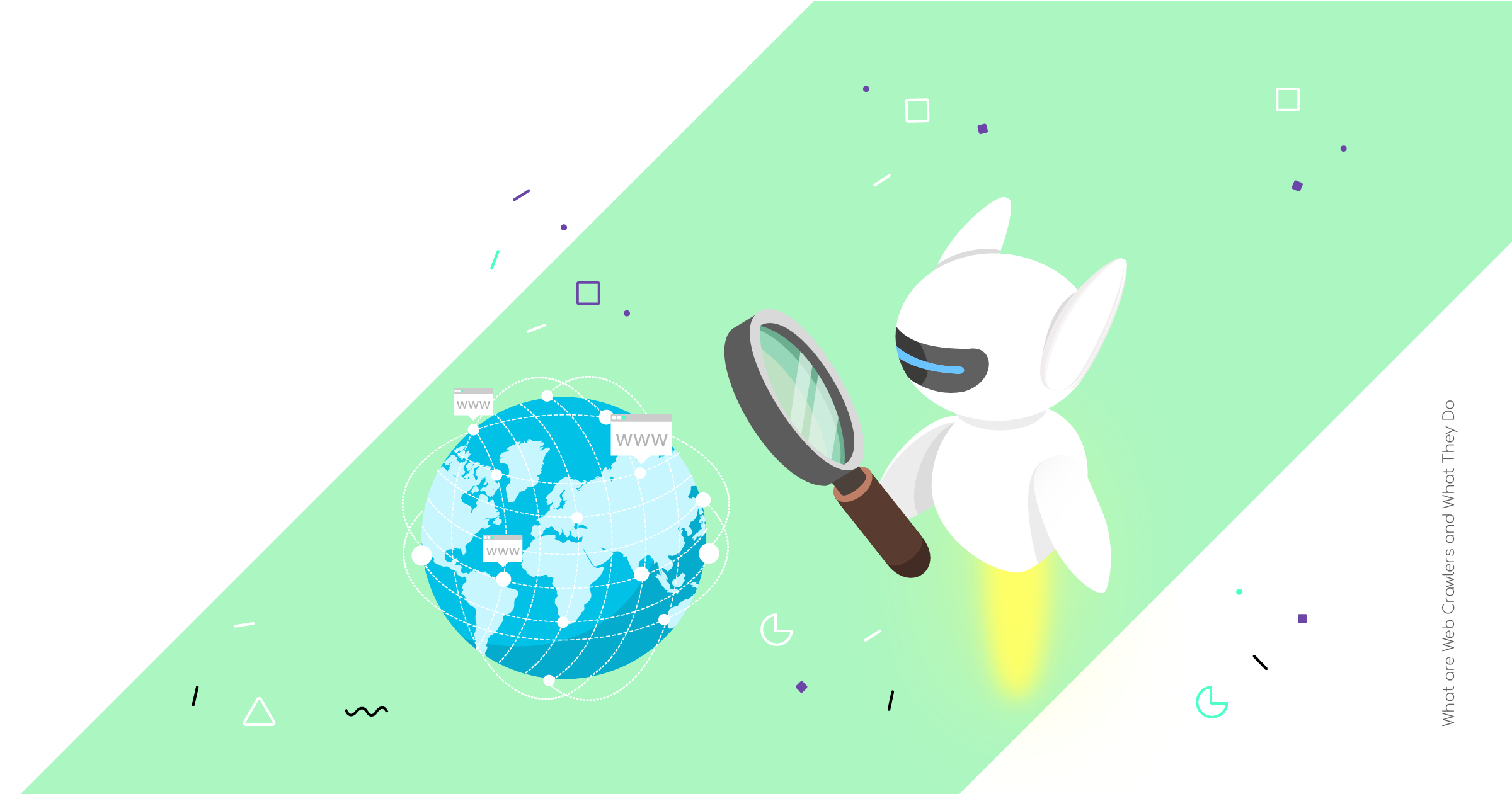 What Is Web Crawler Software and What Does It Do?